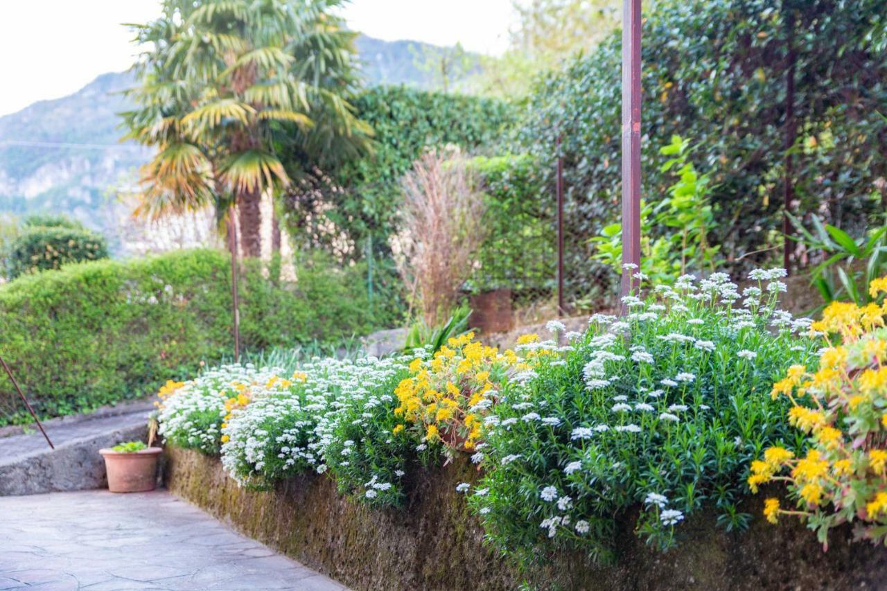 Vila Casa Giulia Lierna Exteriér fotografie